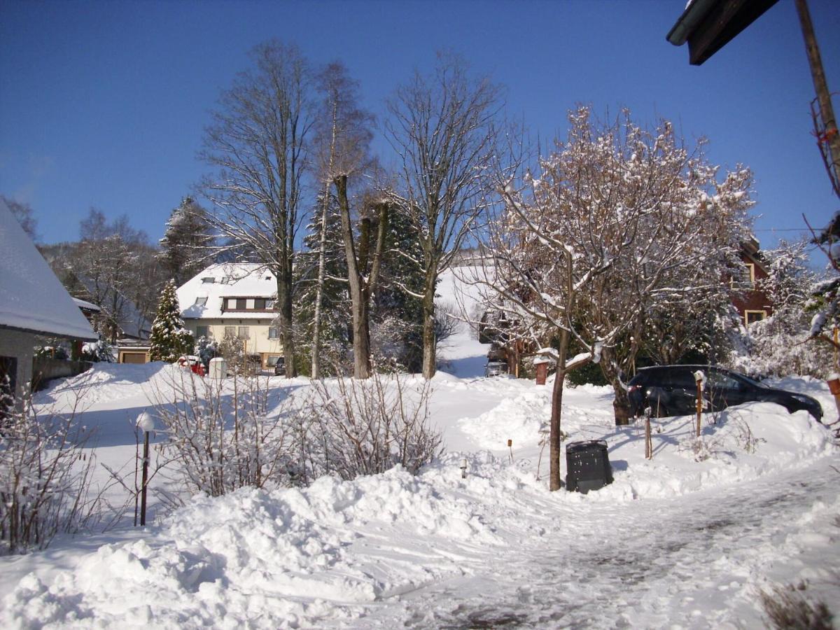 Pleasant apartment in Bernau Innerlehen with garden Exterior foto